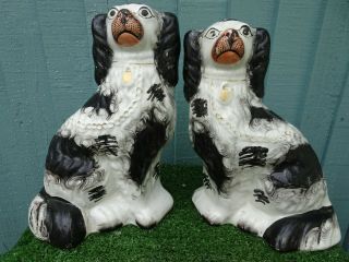 Mid 19thc Staffordshire Seated Black & White Spaniel Dogs C1860s