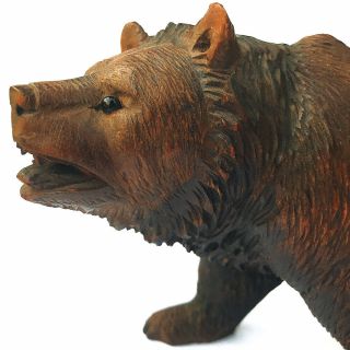 A Fine C1900 Antique Hand Carved Wooden Black Forest Bear 17cm X 11cm