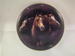 Horse Collectible Plate - " Entering The Light By Susie Morton " The Danbury