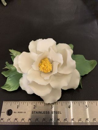 Capodimonte Porcellane Flower