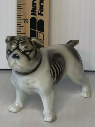Cute,  Mini Dog Figurine Porcelain Ceramic,  Boston Terrier?
