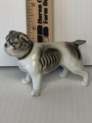 Cute,  Mini dog figurine porcelain ceramic,  Boston Terrier? 2