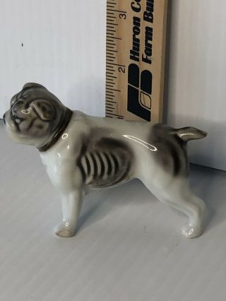 Cute,  Mini dog figurine porcelain ceramic,  Boston Terrier? 3