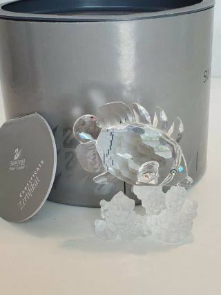 Swarovski Silver Crystal Butterfly Fish Retired 162888 And