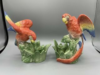 Vintage Fitz And Floyd 1986 Parrot Macaw Candlestick Holders