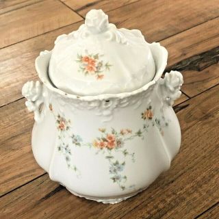 Hermann Ohme - Eglantine - Antique German Porcelain Covered Biscuit Jar