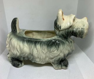 Vintage Scottish Terrier Ceramic Planter.  Made In Japan