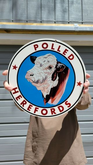Old Vintage Polled Herefords Cow Cattle Heavy Metal Porcelain Sign Farm Farming