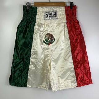 Vintage Everlast Boxing Boxer Satin Shorts Men’s Large Tri - Color Striped Mexico