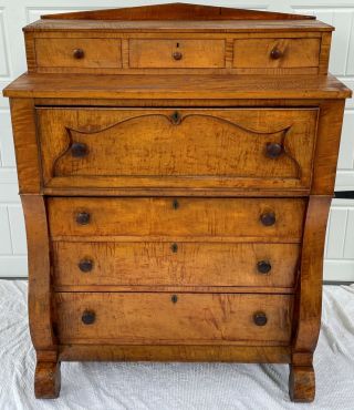 Antique E1800s Empire Curly Tiger Maple Chest Of Drawers 7 Dresser Furniture