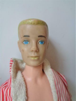 1962 Ponytail Barbie Doll 5 BRUNETTE in Pak Separates,  1 Ken Painted Hair 3