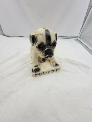 Vintage Watta Pop Chalkware Pug Dog Sucker Display Rare