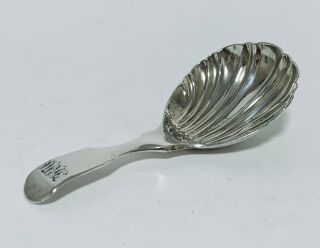 Antique Victorian Solid Sterling Silver Tea Caddy Spoon Shell Shaped 1844 London