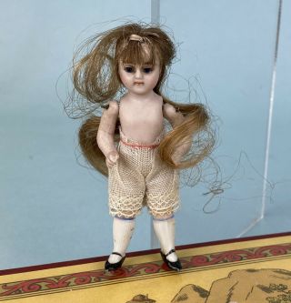 3.  5 " Antique Miniature All Bisque German Doll Needs Clothing Marked 30 8 C.  1900