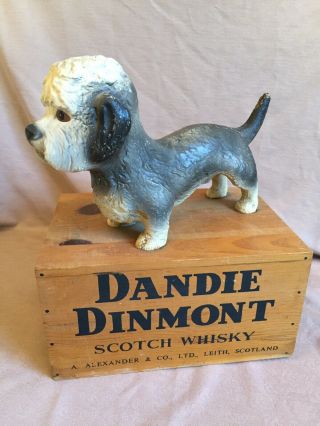 Rare Vintage Dandie Dinmont Scotch Wiskey Advertising Display Dog On Wood Box