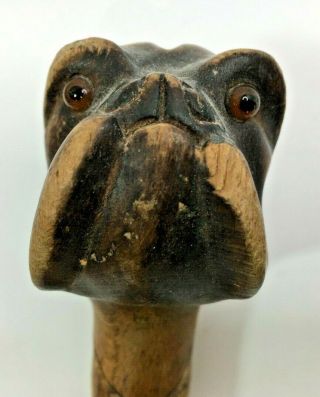Antique Walking Stick With Carved Wood Dogs Head With Glass Eyes Boxer ?