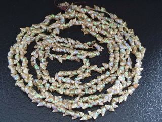 Antique Vintage Tasmanian Iridescent Maireener Shell Necklace For Restringing