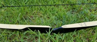 Vintage Black Widow Recurve Bow Early 1959 Model 2004 68 