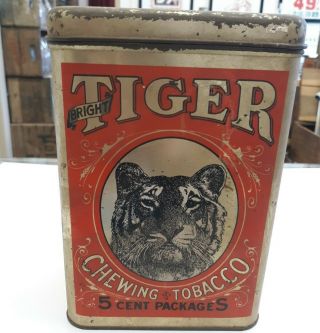 Vintage Tiger Chewing Tobacco 5 Cent Packages Old Tin Red And Gold.  Large