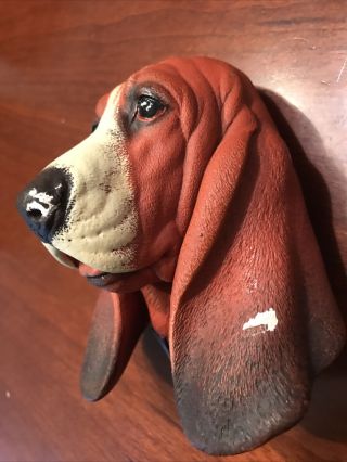 Bossons Chalkware Head Figure 1968 Basset/blood Hound Dog England
