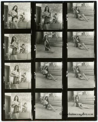 1970s Bunny Yeager Contact Sheet Photo 12 Frames Sexy Debbie Brown At Home