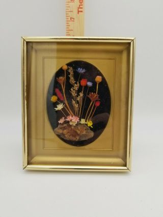 Vintage Framed Dried Flowers Picture Gold Frame Black Velvet Background 5 X 6