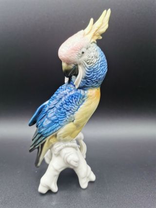Vintage Karl Ens Germany Blue Yellow Parrot Cockatoo Porcelain Figurine