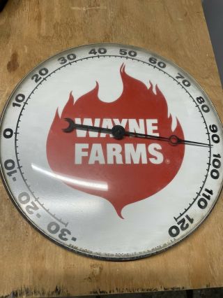 Rare Vintage Pam Clock Co.  Wayne Farms Thermometer 12 " W Glass Dome Cover