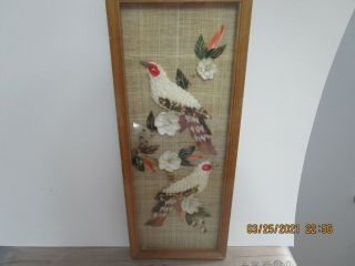 Vintage Sea Shell Bird Art Framed Wall Decor Made In Philippines 20 " X8 "