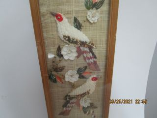 Vintage Sea Shell Bird Art Framed Wall Decor Made in Philippines 20 