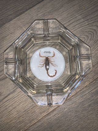 Vintage Scorpion Glass Ashtray Souvenir Recuerdo De Durango