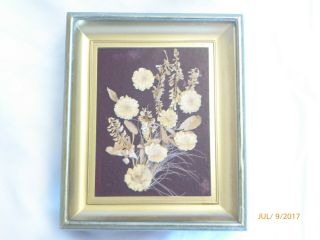 Vintage Framed Dried Flower Picture Shadow Box