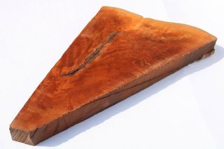 Exotic Wood Live Edge Slab Burl Turning Call Blank Lumber End Table 1.  9 X 16 X26