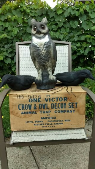 Nos Victor Crow And Owl Decoy Set,  Victor Animal Trap Company Of America