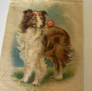 Antique 1910 Old Mill Cigarettes Tobacco Silk Card Collie Dog - Rare