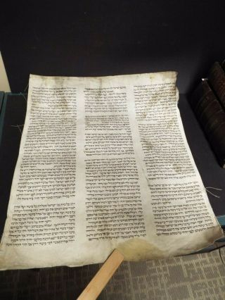 Circa 1800 Torah Scroll Fragment.  Handwritten Hebrew From Bible On Heavy Vellum.