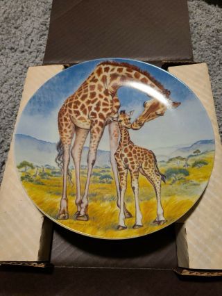 A Kiss For Mother - Giraffe - Knowles Plate 1st Signs Of Love Coll.  Box 1981