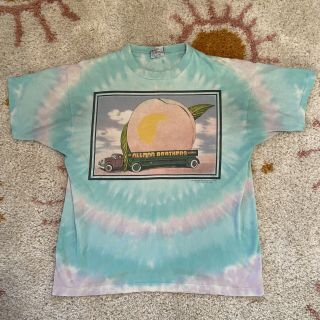 Vintage Allman Brothers Band 1993 Tour Shirt Tie Dye Eat A Peach For Peace Xl