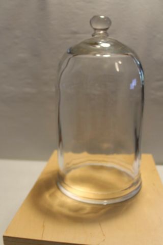 Vintage Glass Cloche Dome Vacuum Bell Jar Science Apothecary Display 13 " Tall