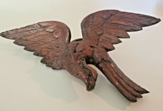 Antique Federal Eagle American Folk Art Sculpture Wood Carving 1907 ? Dog Tag