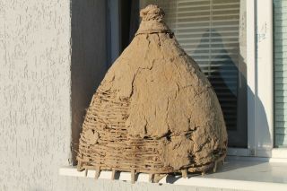 Vintage Antique Primitive Old Handmade Wicker,  Bee Skep,  Woven Of Wood And Mud