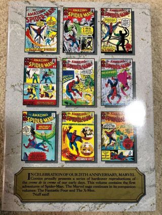 Marvel Masterworks Spiderman vol.  1 Spider - Man 1 - 10 & Fantasy 15 2