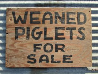 Primitive Wooden Weaned Piglets Sign Vintage Pig Livestock Ranch Farm House Hog