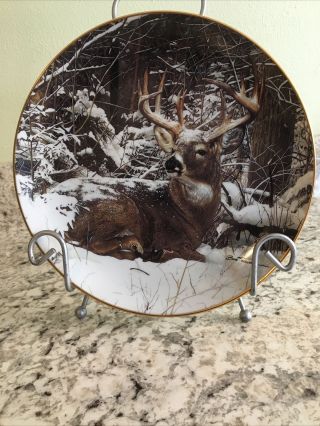 Winter Stag Plate Pride Of The Wilderness Deer Buck Whitetail Danbury
