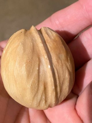Early Exceptional Stone Marble Nut Italian Alabaster Stone Alabaster Walnut Nm,