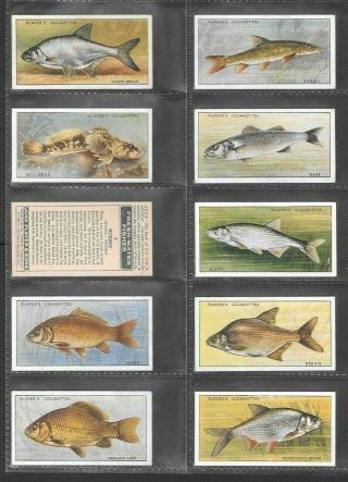 Player 1933 Interesting (fish) Full 50 Card Set  Fresh - Water Fish - Pink