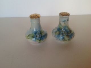 Antique Vintage Porcelain Floral Salt/pepper Shakers Handpainted Blue/gold/green