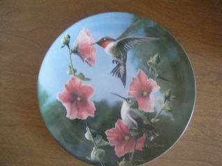 " The Hummingbird " 7th Birds Of Your Garden Collectors Plate By Kevin Daniel