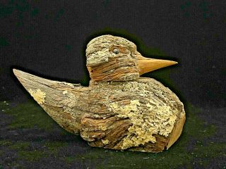 Primitive Rustic Bird Hand Carved From Burl With Bark & Moss