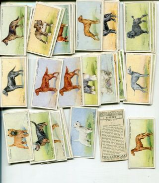1937 W.  D.  & H.  O.  Wills Cigarettes Dogs 50 Card Complete Set